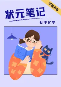 2025 年人教版初三下学期《化学状元笔记》学案