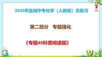 2025年盐城中考化学（人教版）总复习《第二部分专题45科普阅读题》 课件