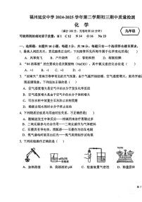福建省福州市延安中学2024-2025学年下学期初三期中检测卷化学试卷