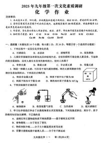 2025年南阳市西峡县九年级中考一模化学试卷及答案