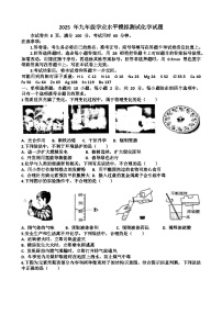 2025年济南历城区九年级中考化学一模考试试题（含答案）