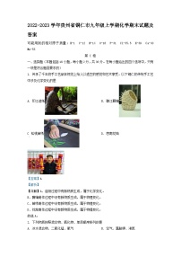 2022-2023学年贵州省铜仁市九年级上学期化学期末试题及答案