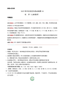 信息必刷卷01（山东统考）-2025年中考化学考前信息必刷卷（原卷版+解析版）