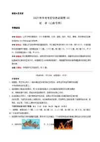 信息必刷卷02（山东统考）-2025年中考化学考前信息必刷卷（原卷版+解析版）