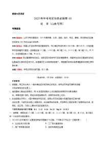 信息必刷卷03（山东统考）-2025年中考化学考前信息必刷卷（原卷版+解析版）