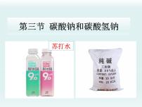 鲁教版（2024）九年级下册（2024）碳酸氢钠和碳酸钠图片课件ppt
