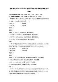 甘肃省定西市2023-2024学年九年级下学期期中素养测评化学试卷（解析版）