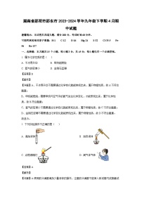 湖南省邵阳市邵东市2023-2024学年九年级下学期4月期中化学试卷（解析版）