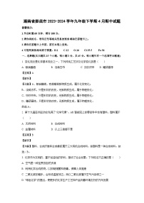 湖南省娄底市2023-2024学年九年级下学期4月期中化学试卷（解析版）