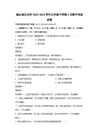 湖北省汉川市2023-2024学年九年级下学期4月期中考试化学试卷（解析版）