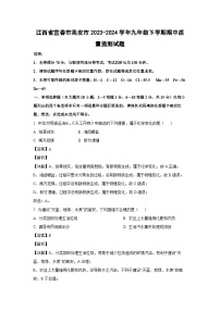 江西省宜春市高安市2023-2024学年九年级下学期期中质量监测化学试卷（解析版）