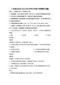 广东省汕头市2024-2025学年九年级下学期期中化学试卷（解析版）