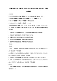 安徽省阜阳市太和县2023-2024学年九年级下学期4月期中化学试卷（解析版）