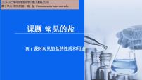 初中化学常见的盐精品课件ppt