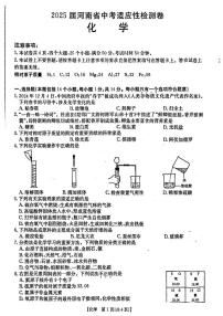 2025年漯河市九年级中考一模化学试卷及答案