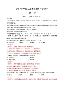 2025年中考第二次模拟考试卷：化学（河南卷）（解析版）