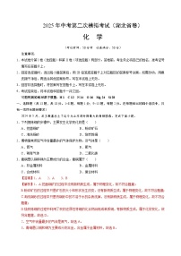 2025年中考第二次模拟考试卷：化学（湖北省卷）（解析版）