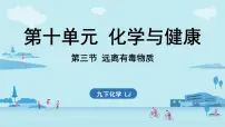 化学九年级下册（2024）远离有毒物质优秀ppt课件