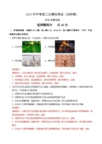 2025年中考第二次模拟考试卷：化学（济南卷）（解析版）