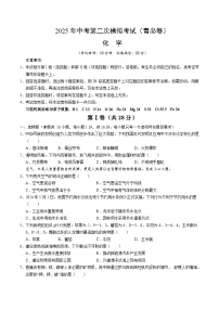 2025年中考第二次模拟考试卷：化学（青岛卷）（考试版）