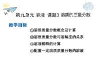 人教版（2024）九年级下册（2024）溶质的质量分数授课课件ppt