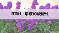 初中化学人教版（2024）九年级下册（2024）溶液的酸碱性完整版ppt课件