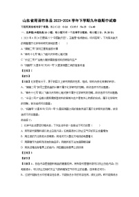 山东省菏泽市单县2023-2024学年下学期九年级期中化学试卷（解析版）