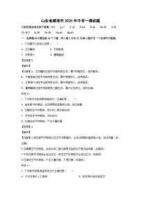 山东省威海市2025年中考一模化学试卷（解析版）