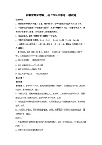 安徽省阜阳市颍上县2025年中考一模化学试卷（解析版）