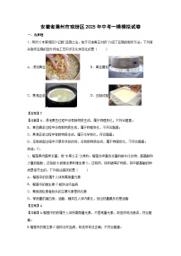 安徽省滁州市琅玡区2025年中考一模模拟化学试卷（解析版）