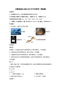安徽省淮北五校2025年中考联考一模化学试卷（解析版）