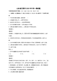 山东省日照市2025年中考一模化学试卷（解析版）
