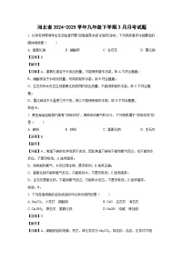 河北省2024-2025学年九年级下学期3月月考化学试卷（解析版）