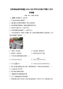 江苏省盐城市亭湖区2024-2025学年九年级下学期3月月考化学