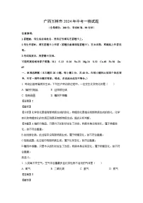 广西玉林市2024年中考一模化学试卷（解析版）
