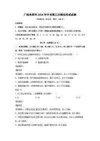 广西来宾市2024年中考第三次模拟考试化学试卷（解析版）