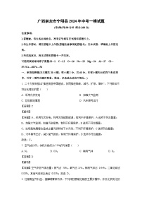 广西崇左市宁明县2024年中考一模化学试卷（解析版）