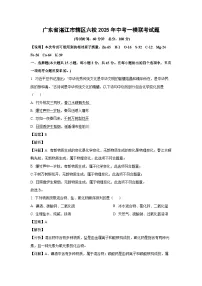 广东省湛江市辖区六校2025年中考一模联考化学试卷（解析版）