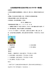 山西省晋城市陵川县部分学校2025年中考一模化学试卷（解析版）