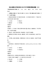 河北省衡水市部分校2025年中考模拟预测（六）化学试卷（解析版）