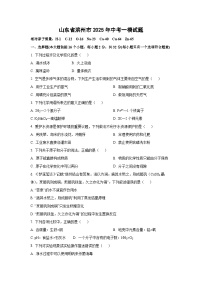 山东省滨州市2025年中考一模化学试卷（解析版）