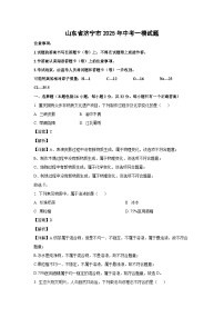 山东省济宁市2025年中考一模化学试卷（解析版）