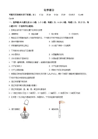 2025年甘肃省定西市临洮县中考一模化学试题（原卷版+解析版）