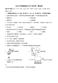 2025年河南省新乡市中考一模化学试题（原卷版+解析版）