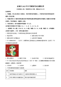 2025年湖北省襄阳市宜城市中考模拟化学试题（原卷版+解析版）