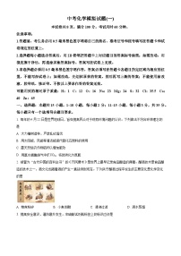 2025年山东省菏泽市巨野县中考一模化学试题（原卷版+解析版）