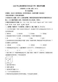 2025年山东省青岛市市北区中考一模化学试题（原卷版+解析版）