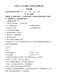 2025年四川省泸州市泸县第五中学中考二模化学试题（原卷版+解析版）