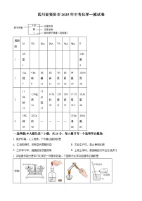2025年四川省资阳市中考一模化学试题（原卷版+解析版）
