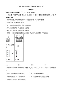 2025年贵州省铜仁市中考适应性考试化学试题（原卷版+解析版）